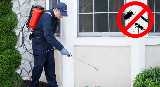 Köprübaşı Böcek ve Haşere İlaçlama böcek ilaçlama ve haşere kontrolü — ilaclama-tr.com